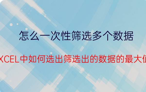 怎么一次性筛选多个数据 EXCEL中如何选出筛选出的数据的最大值？